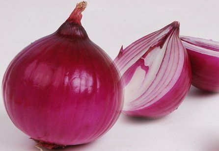 塑料菜板 切洋葱